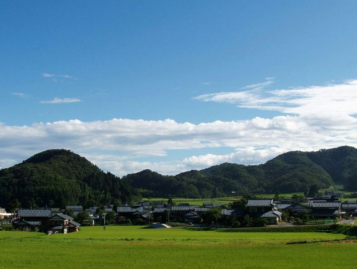 越前市