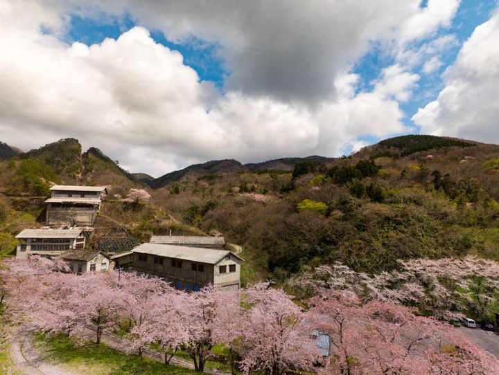 佐渡市