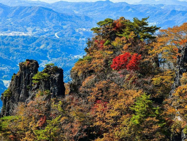 伊達市