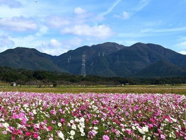 日野町