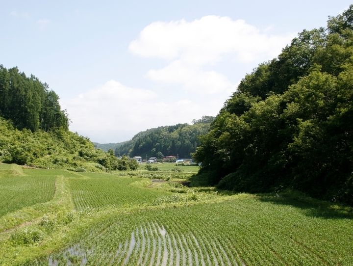 最上町