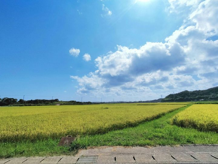 千葉県全体