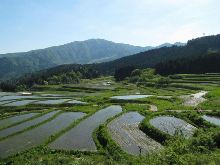 養父市