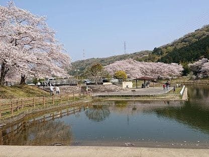 石井町