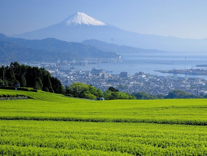 静岡市