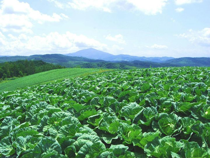 岩手町