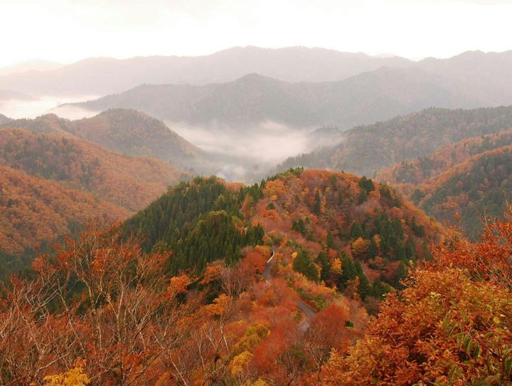 高島市