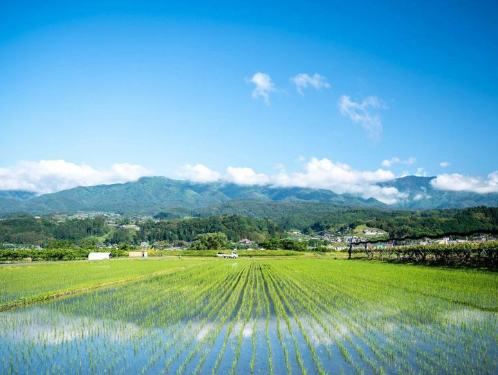 豊丘村