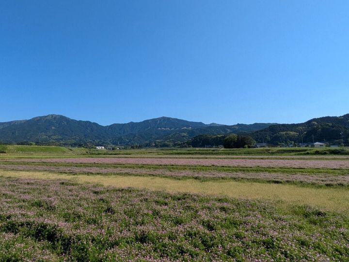 嘉麻市