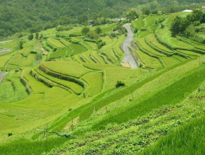 香川県全体