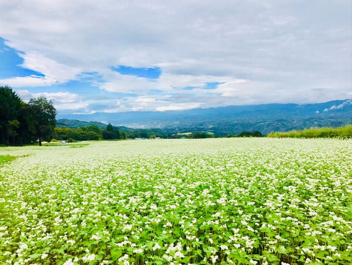 下條村