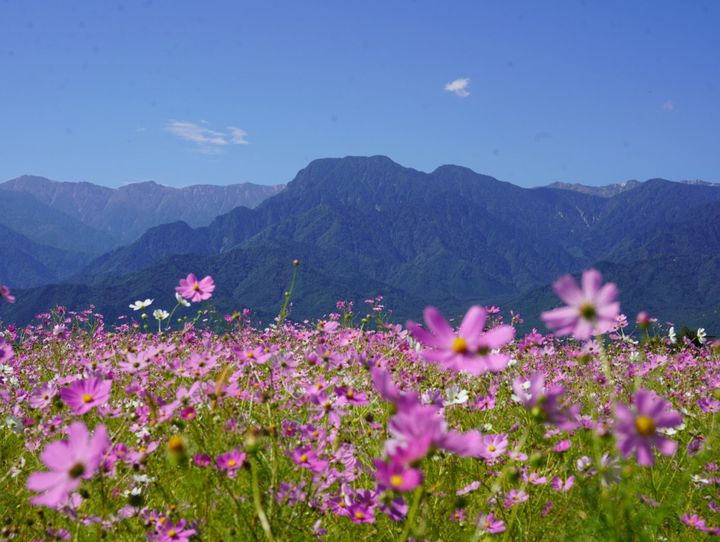池田町