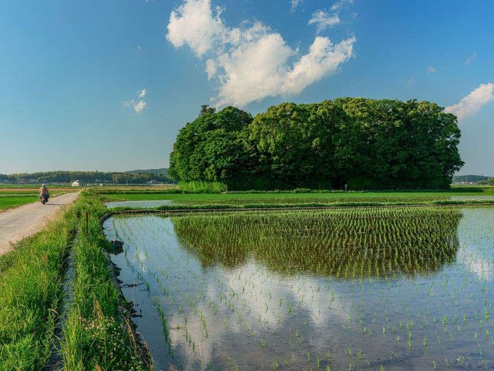 玉城町