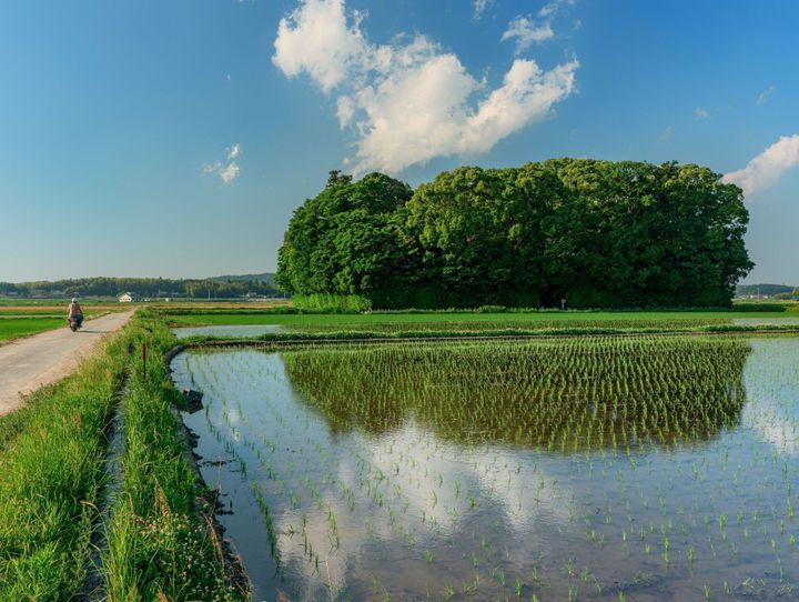 玉城町