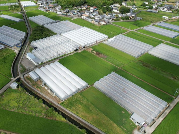 安田町