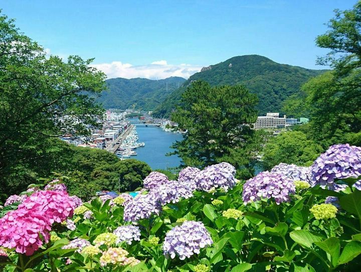 下田市