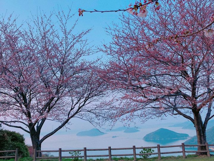 三豊市