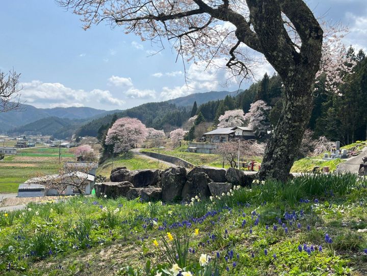 売木村
