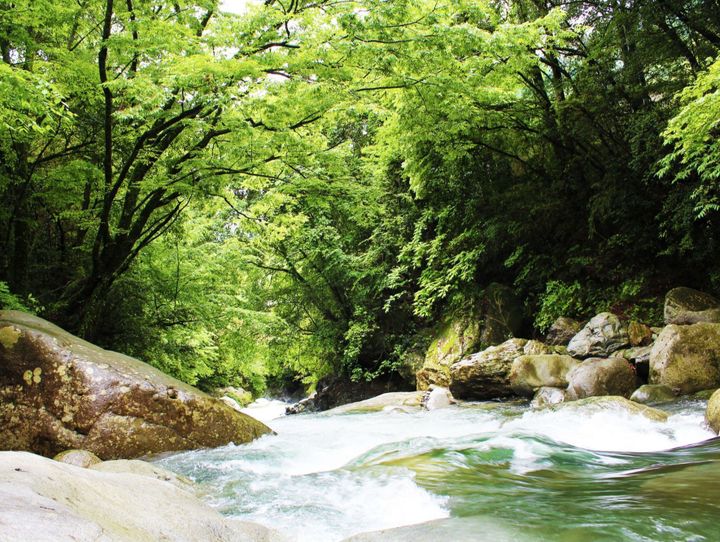 水上村