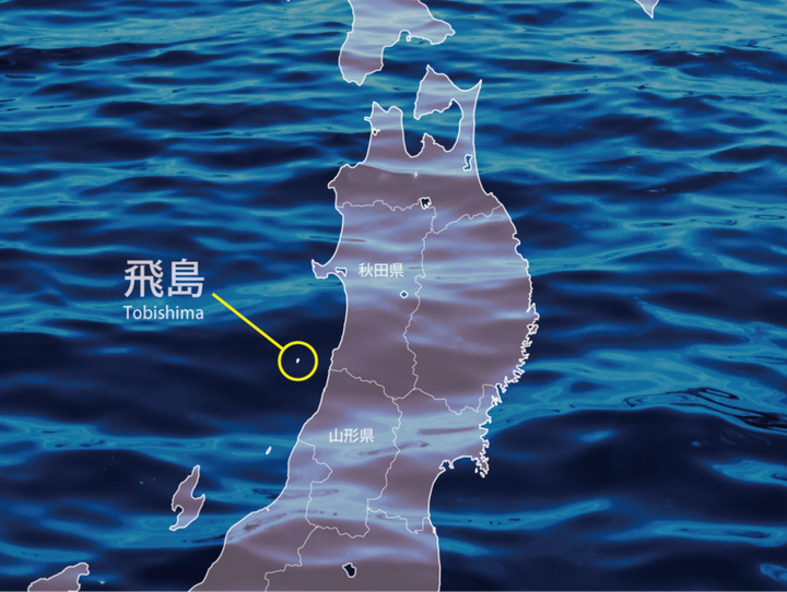 酒田市