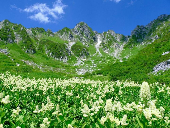 駒ヶ根市