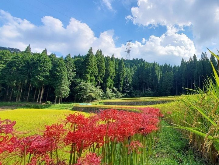 湧水町