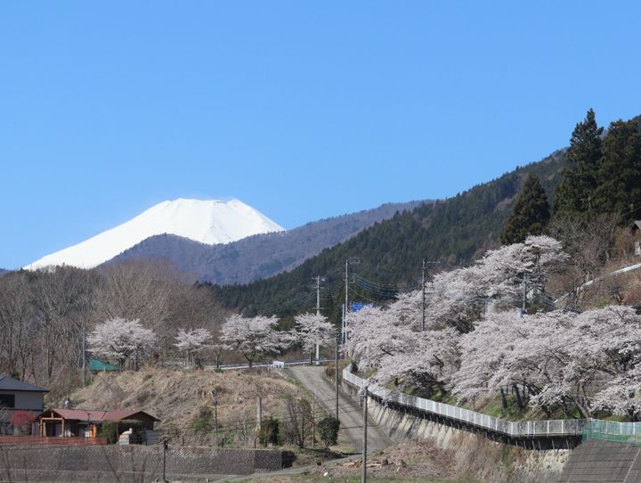 道志村