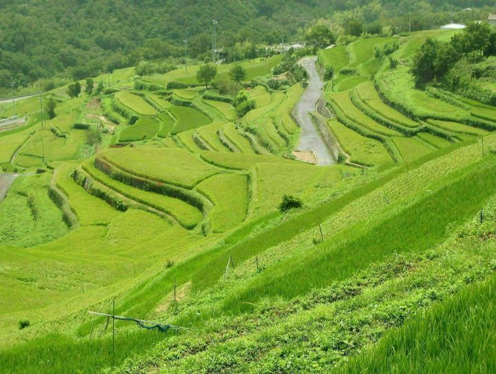 香川県全体