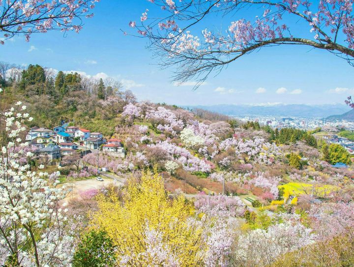 福島市