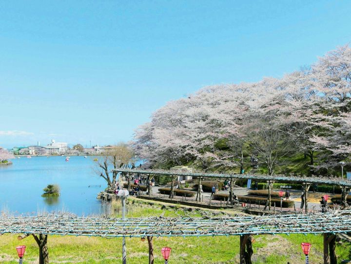藤枝市
