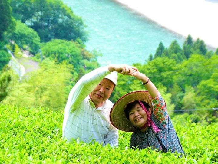 天龍村