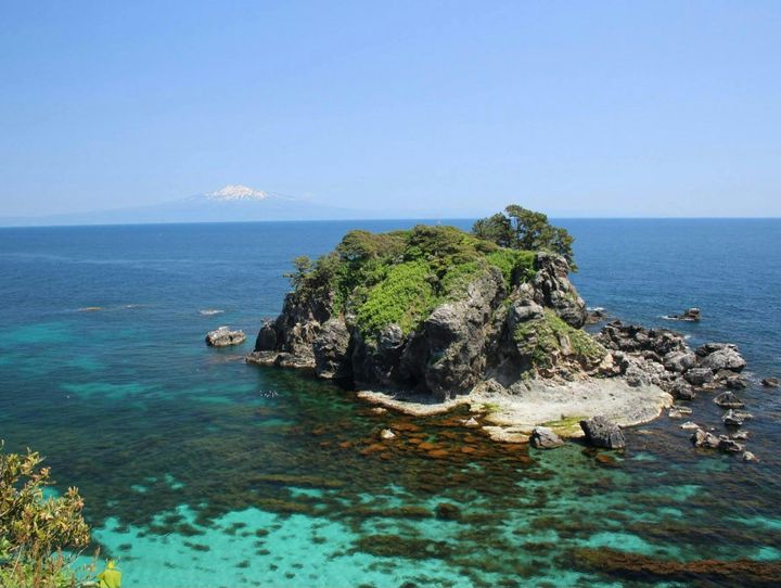 酒田市