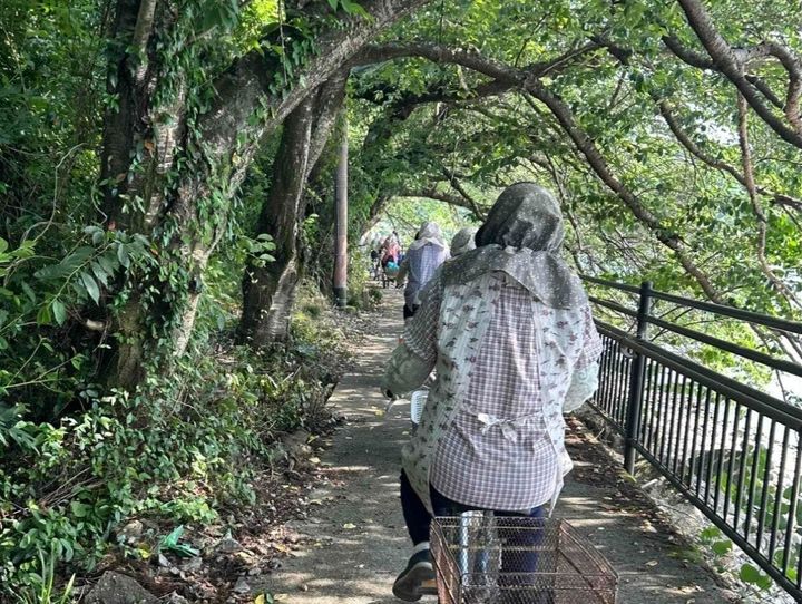 近江八幡市