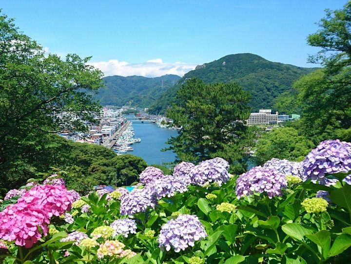 下田市