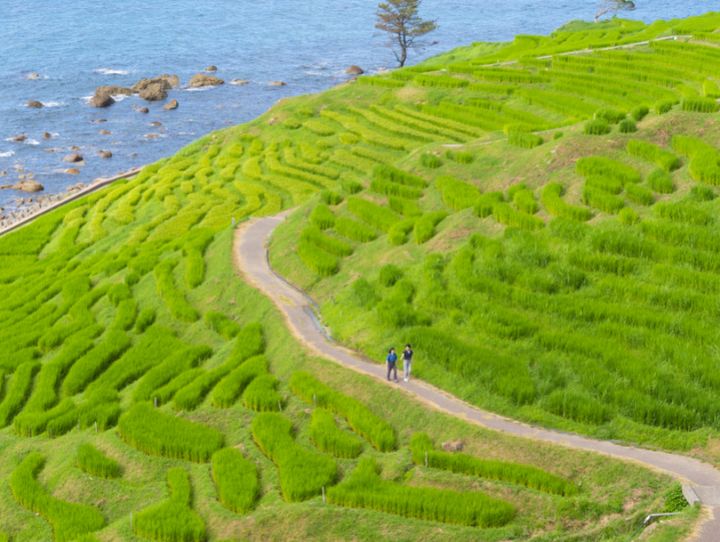 石川県全体