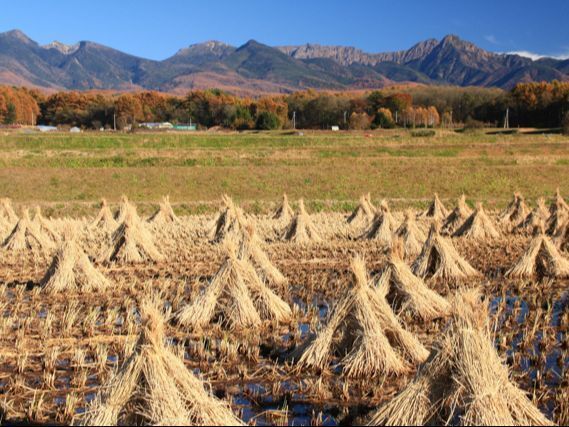茅野市
