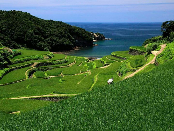 玄海町