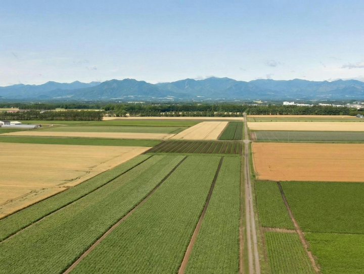 音更町