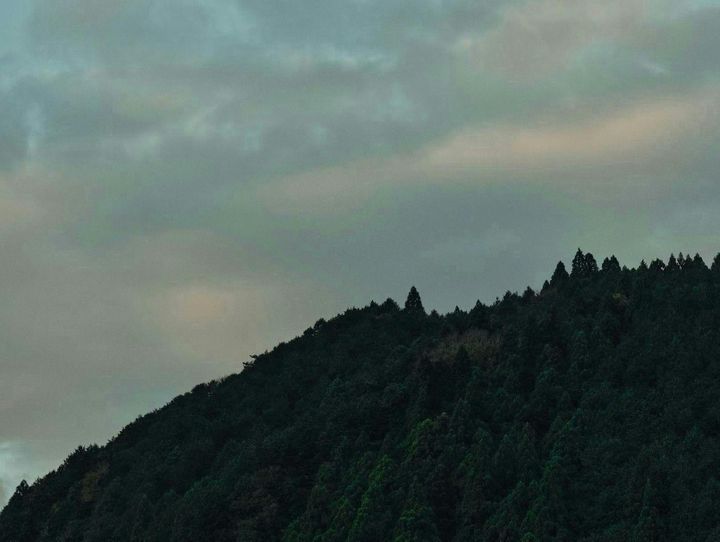 智頭町