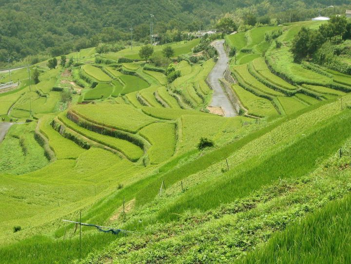 香川県全体