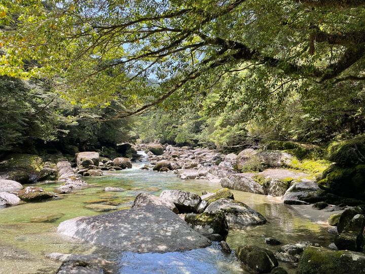屋久島町