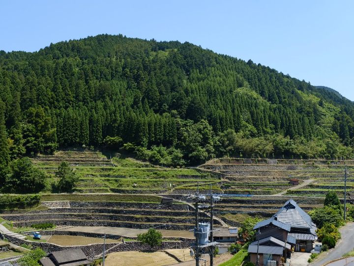 八女市