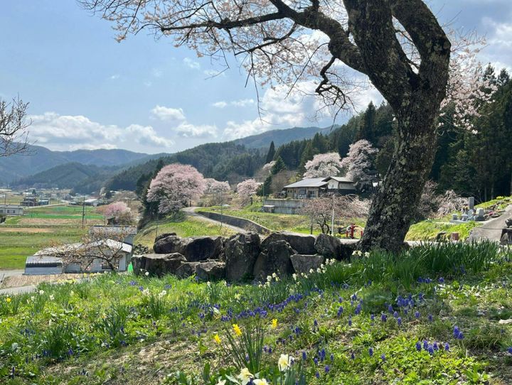 売木村