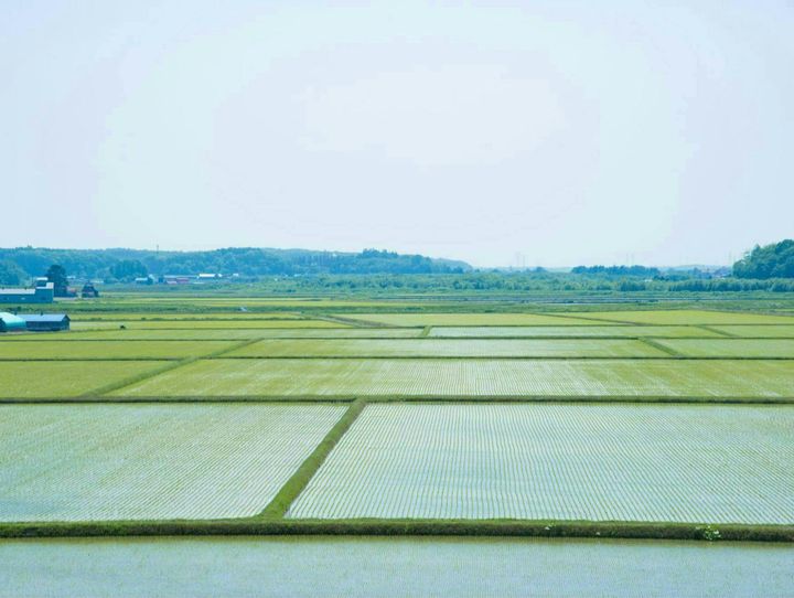 厚真町