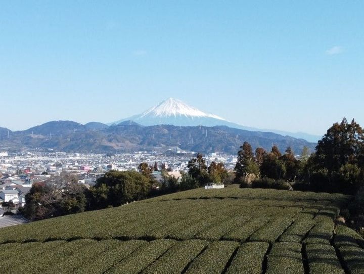 静岡市