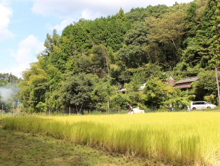 豊田市