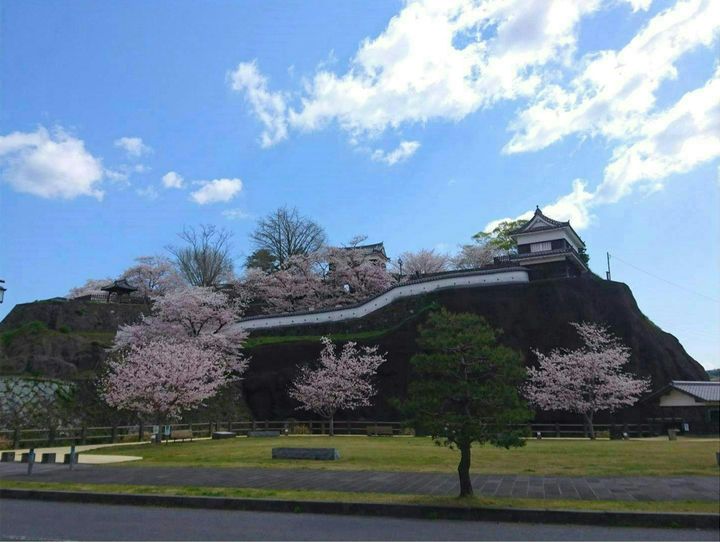 臼杵市