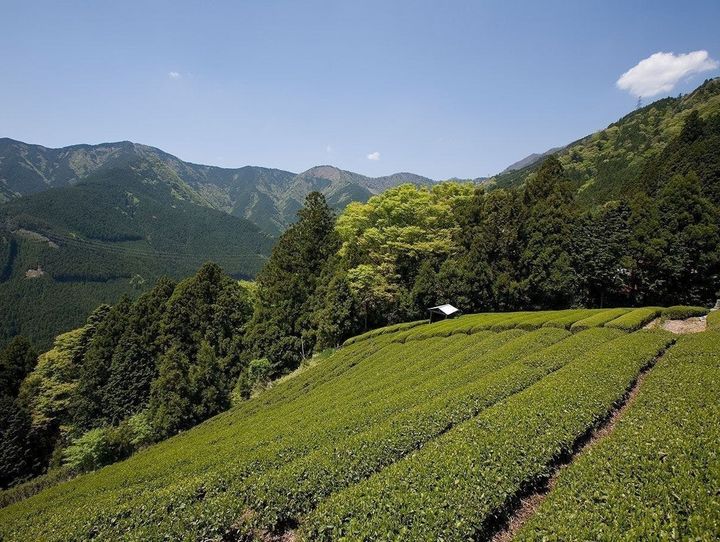 川根本町