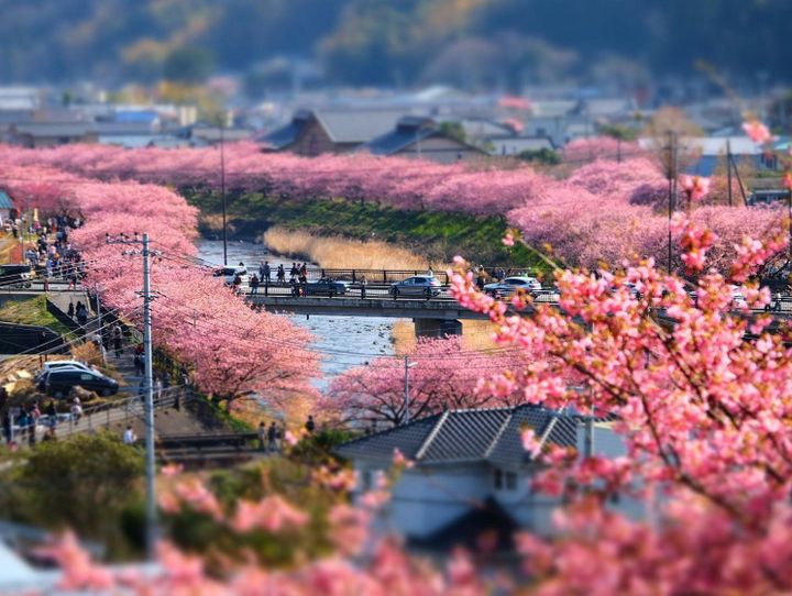 河津町