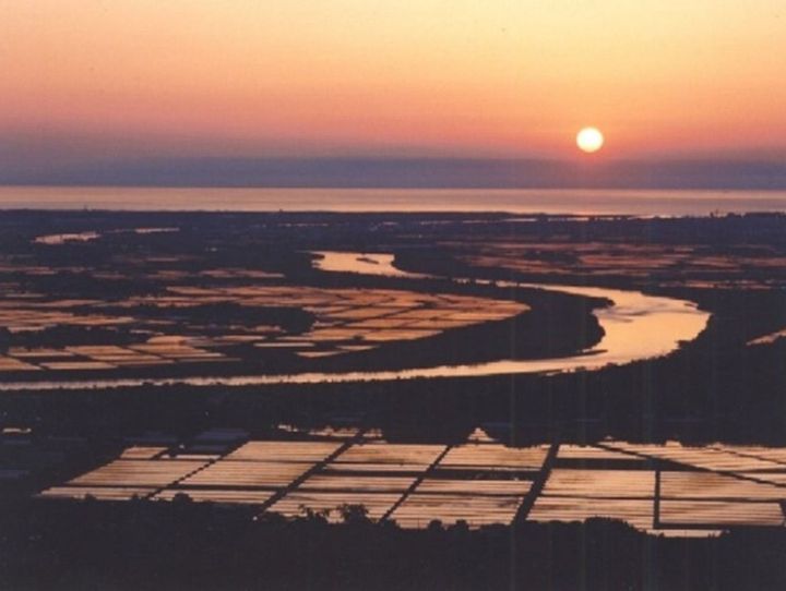 酒田市